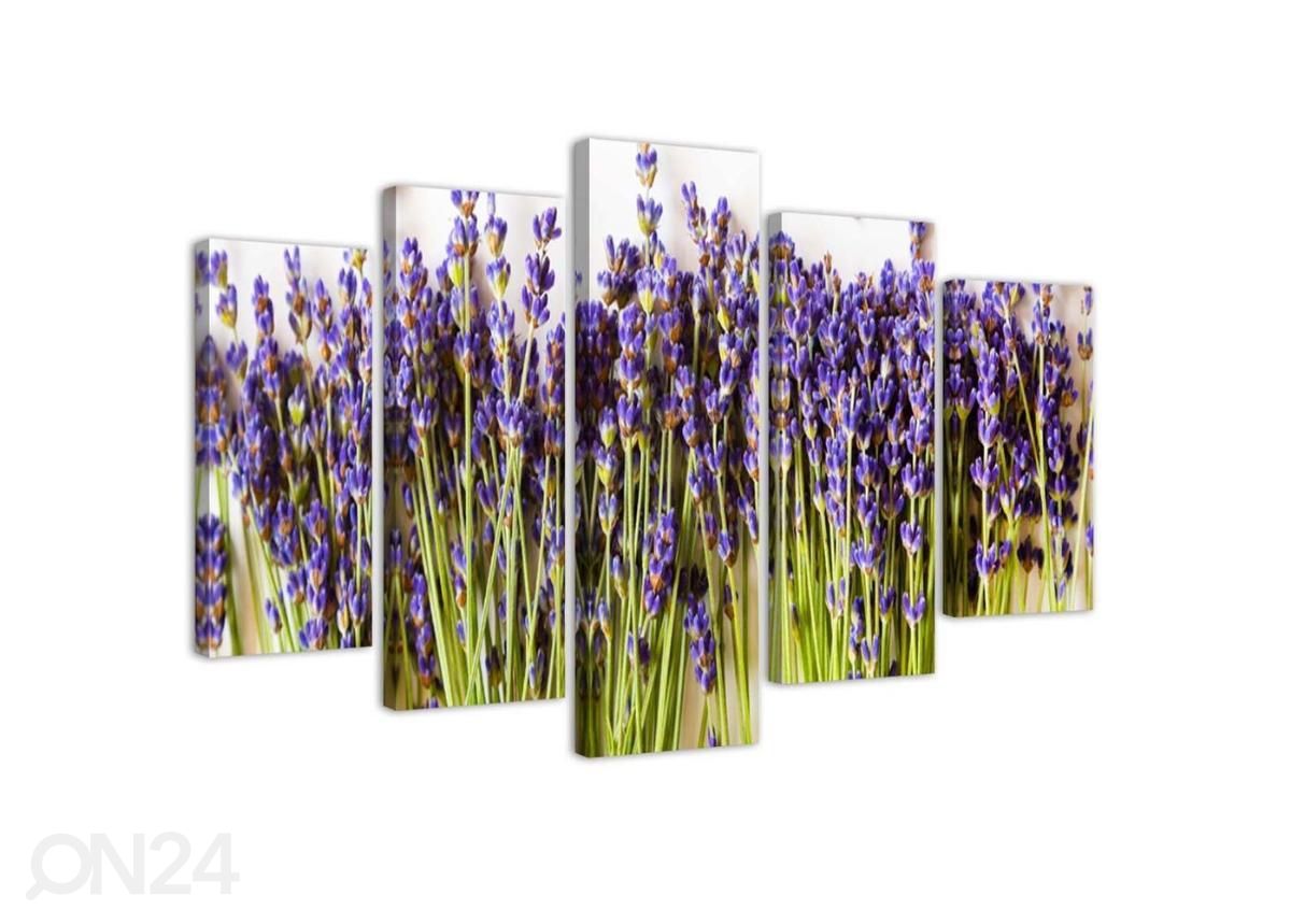 Картина из 5-частей Lavender 150x100 см увеличить