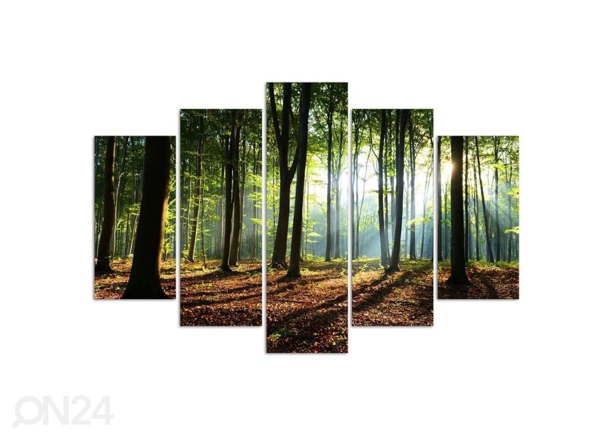 Картина из 5-частей Rays of the sun in the forest 150x100 см увеличить