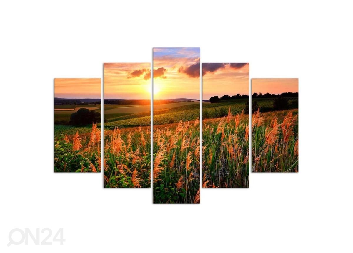 Картина из 5-частей Sunset Over the Meadow 200x100 см увеличить