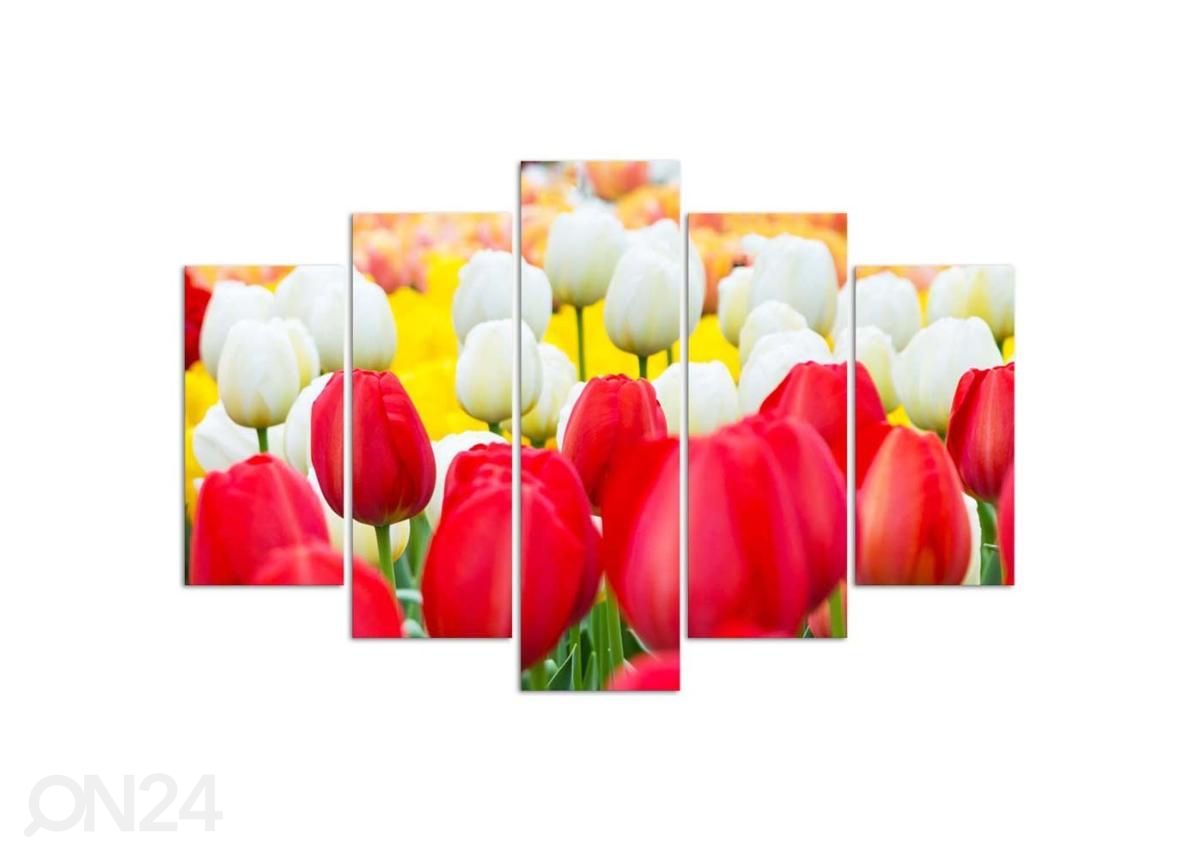 Картина из 5-частей White and Red Tulips 150x100 см увеличить