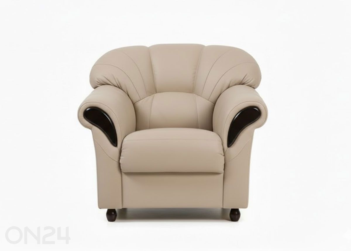 Кожаное кресло Rosa увеличить