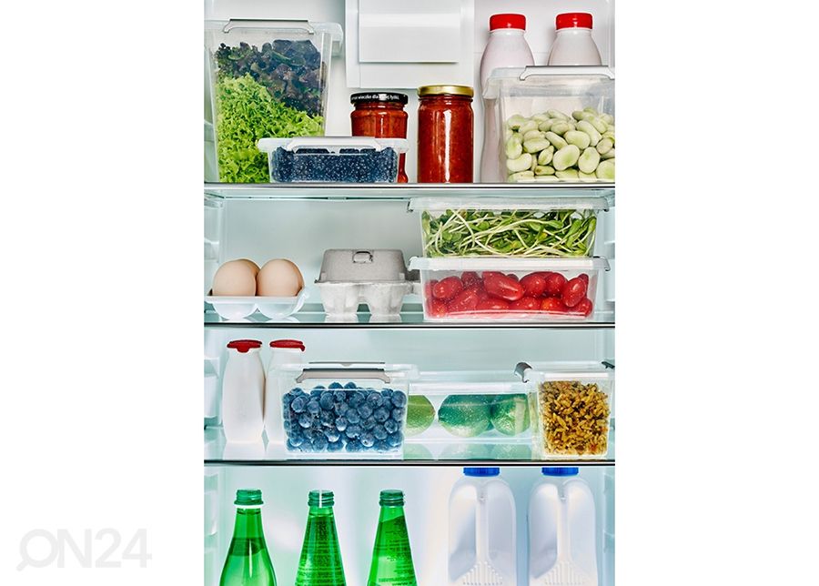 Контейнер для хранения Orplast Antibacterial 350 мл, 3 шт., 15x9,5xh7,5 см увеличить