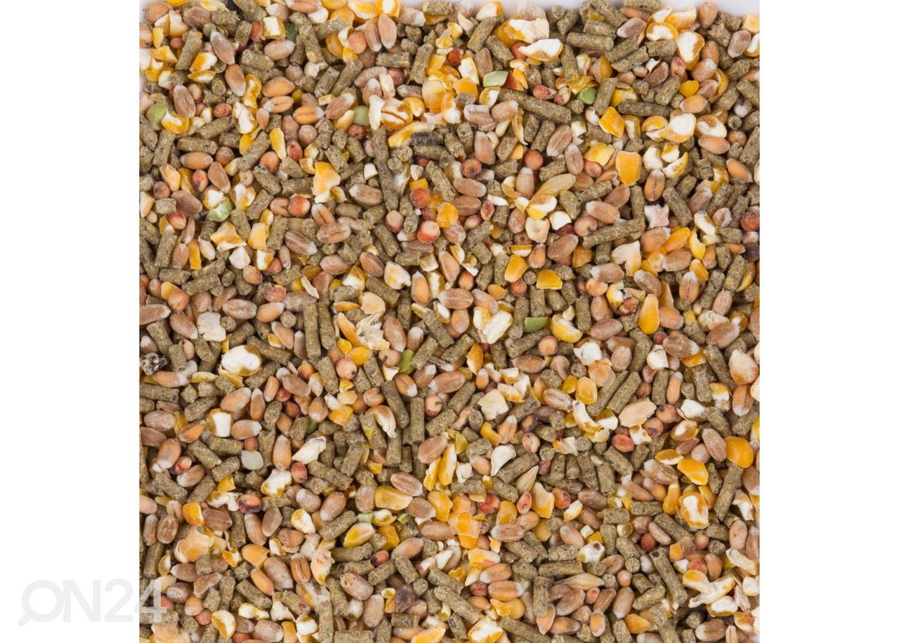 Корм для курицы Chix Laying Mix, 4 кг увеличить