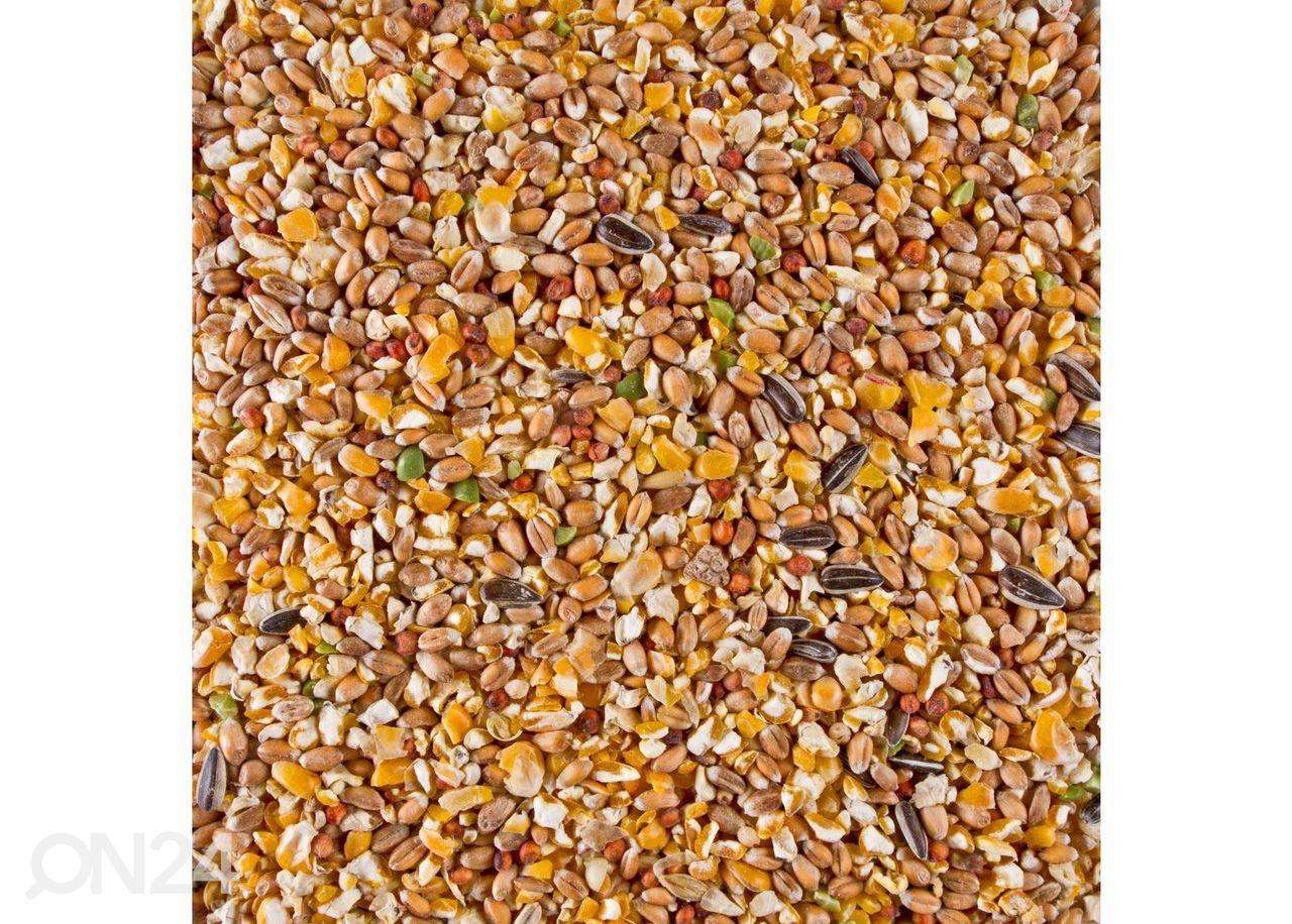 Куриный корм Chix Mix With Broken Maize, 4 кг увеличить