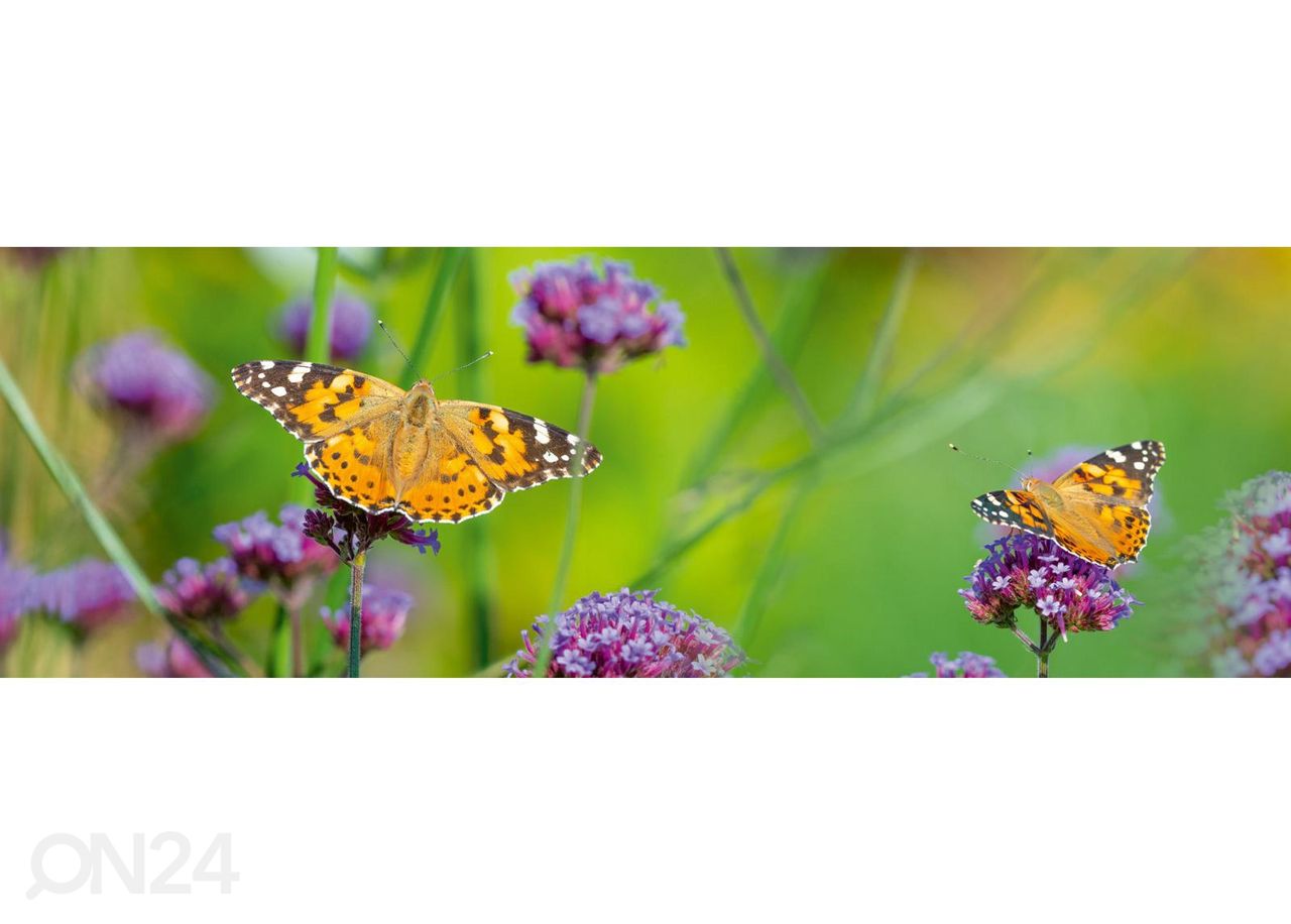 Кухонный фартук Butterflies 180x60 см увеличить