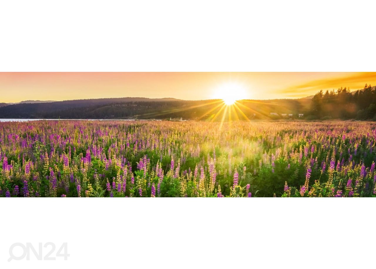 Кухонный фартук Sunset over field 180x60 см увеличить