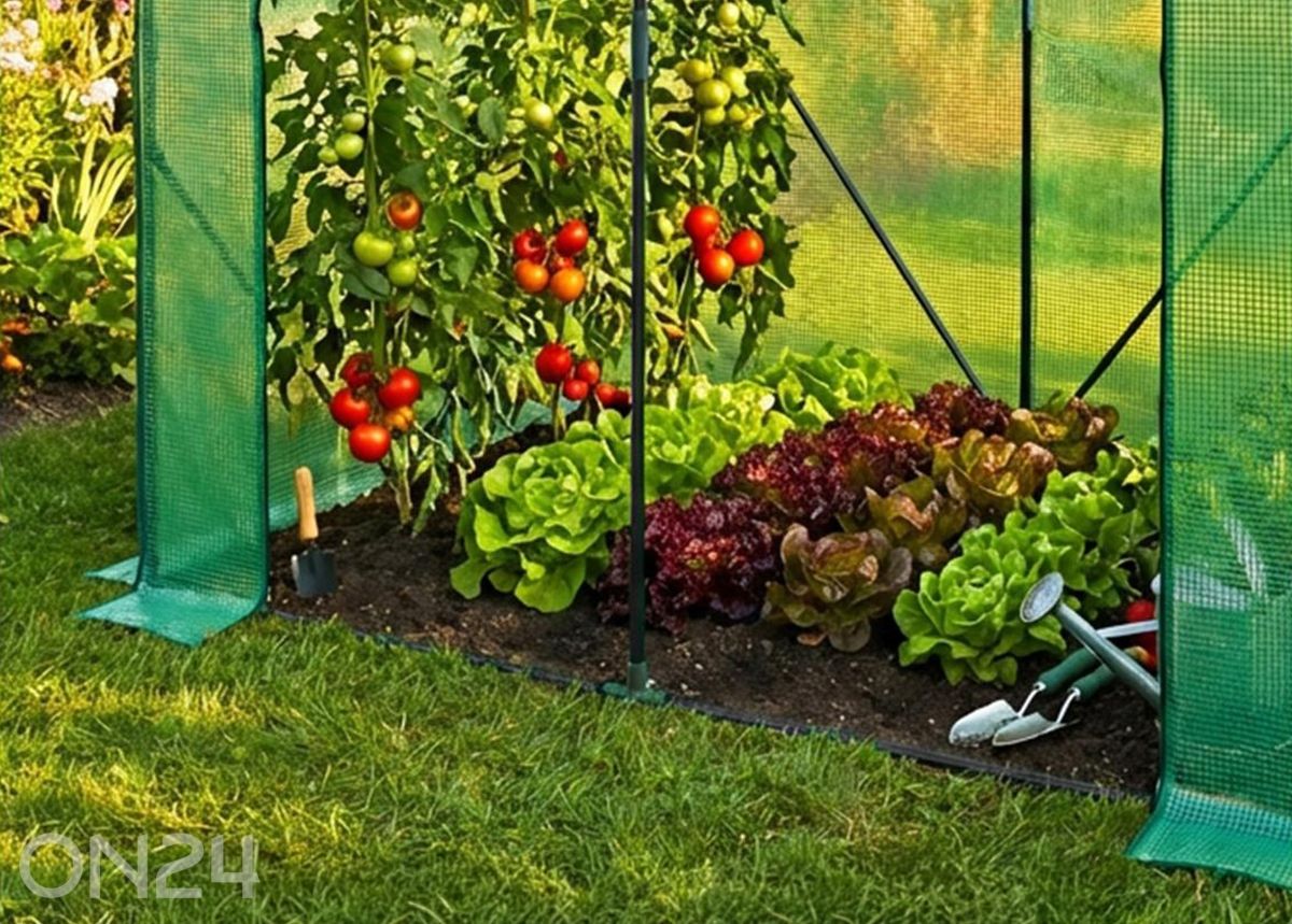 Мини-теплица 80x200 см увеличить