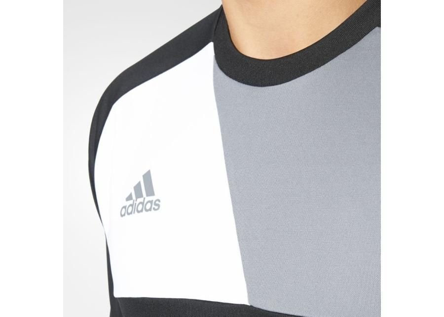 Мужская вратарская рубашка adidas Assita 17 M AZ5401 увеличить