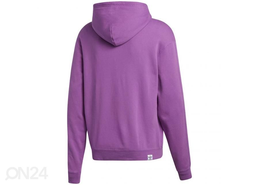 Мужская толстовка Adidas Pride Flag Fill Hoody M GK8524 увеличить