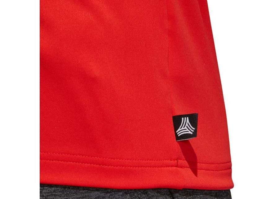 Мужская толстовка adidas Tango Terry M CZ3995 увеличить
