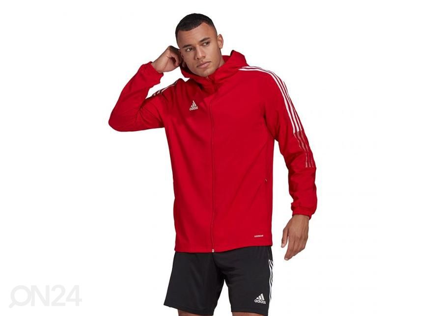 Мужская толстовка Adidas Tiro 21 Windbreaker увеличить