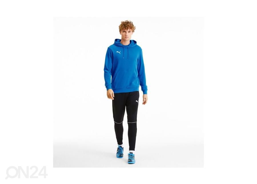 Мужская толстовка Puma TeamGoal 23 Casuals увеличить