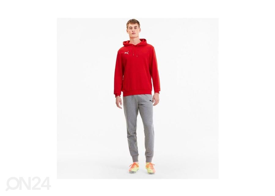 Мужская толстовка Puma TeamGoal 23 Casuals увеличить