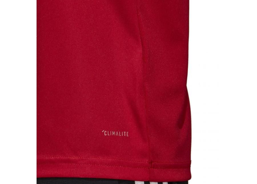 Мужская футболка adidas Campeon 19 Jersey M DP6809 увеличить