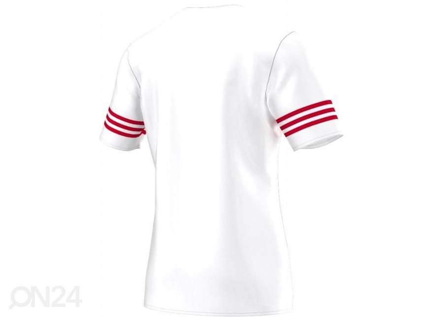 Мужская футболка adidas Entrada 14 F50490 увеличить