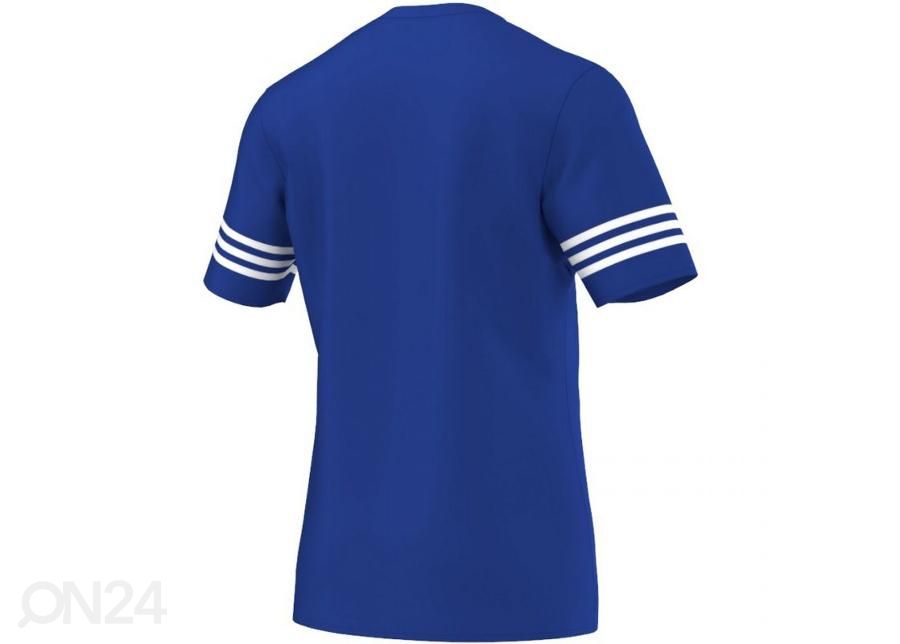 Мужская футболка adidas Entrada 14 F50491 увеличить