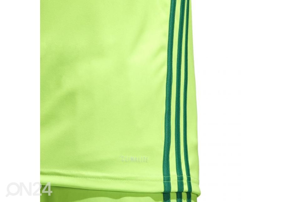 Мужская футболка adidas Regista 18 Jersey M CE8973 увеличить