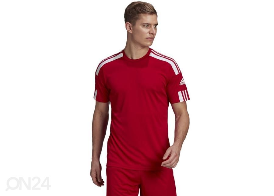 Мужская футболка Adidas Squadra 21 JSY увеличить