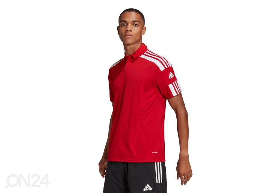Мужская футболка Adidas Squadra 21 Polo увеличить