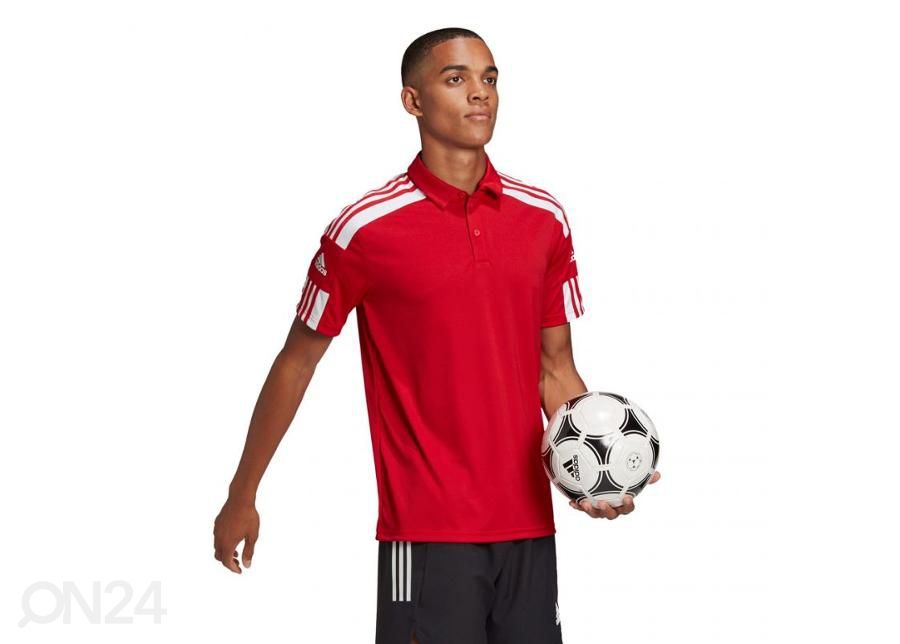 Мужская футболка Adidas Squadra 21 Polo увеличить