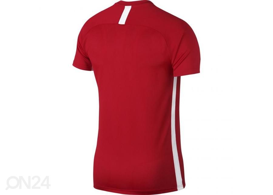 Мужская футболка Nike Dry Academy SS M AJ9996-657 увеличить