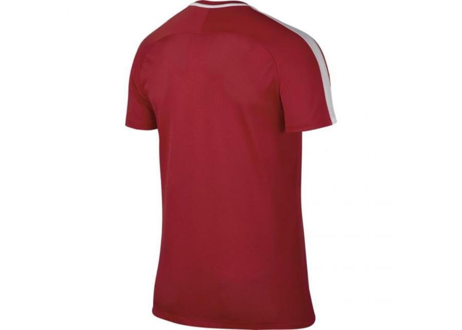 Мужская футболка Nike Nk Gry Ss Academy M 832967-657 увеличить