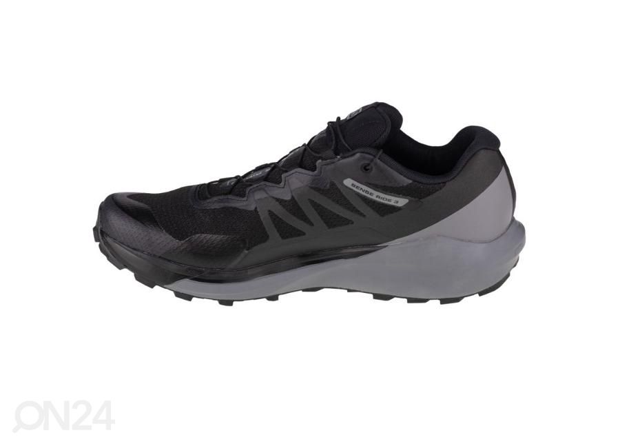 Мужские кроссовки для бега Salomon Sense Ride 3 GTX увеличить