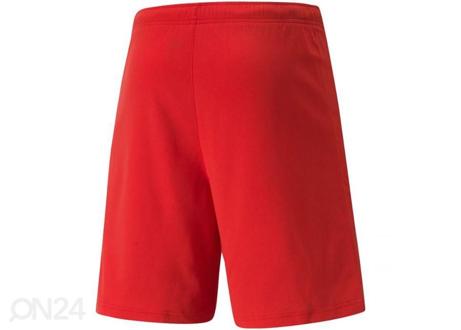 Мужские спортивные шорты Puma teamRISE Short увеличить