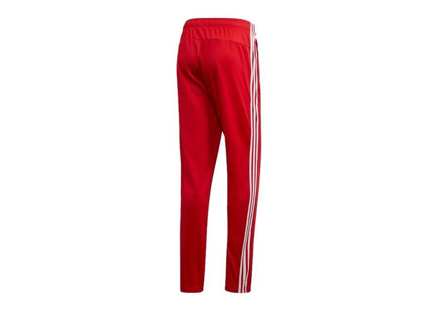 Мужские спортивные штаны adidas Essentials 3 Stripes Tapered Pant Tric M FM6280 увеличить