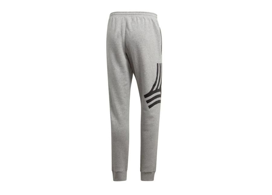 Мужские спортивные штаны adidas Tango Graphic Sweat Joggers M DP2695 увеличить