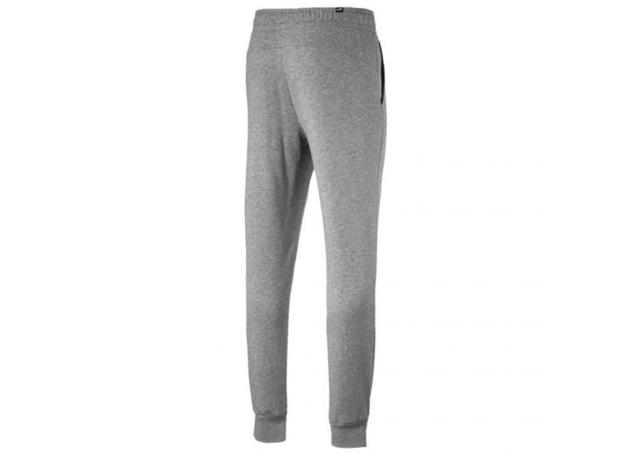 Мужские спортивные штаны Puma ESS Logo TR CL M 851754 увеличить