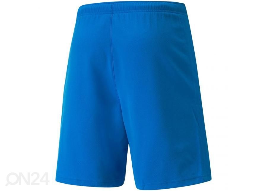 Мужские футбольные шорты Puma teamRISE Short увеличить