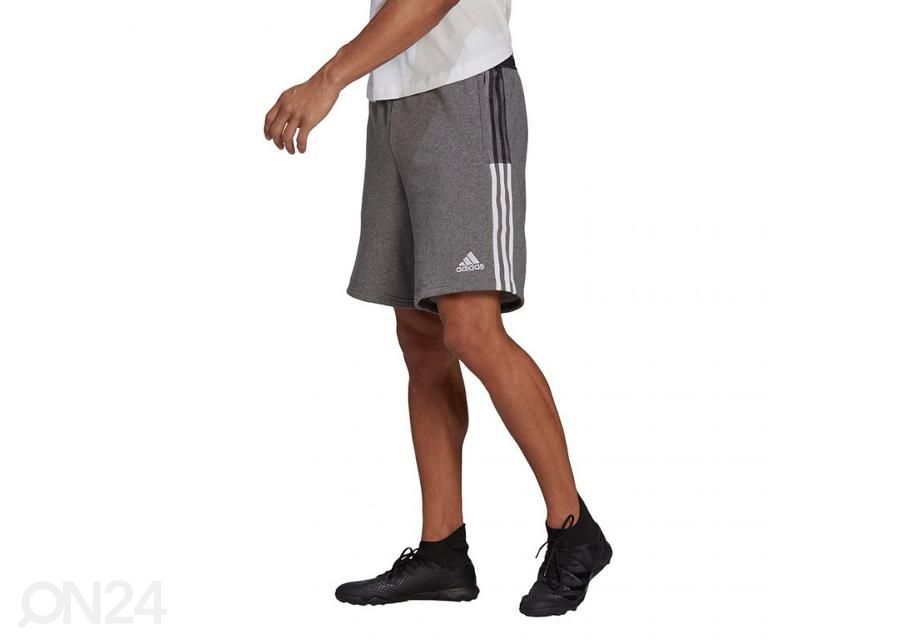 Мужские шорты Adidas Tiro 21 Sweat увеличить