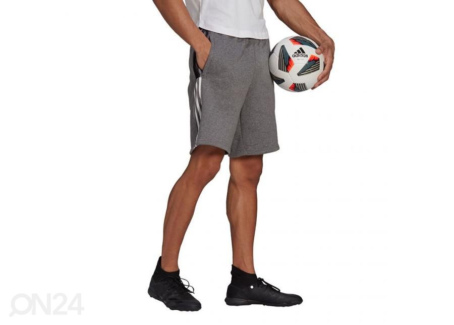 Мужские шорты Adidas Tiro 21 Sweat увеличить