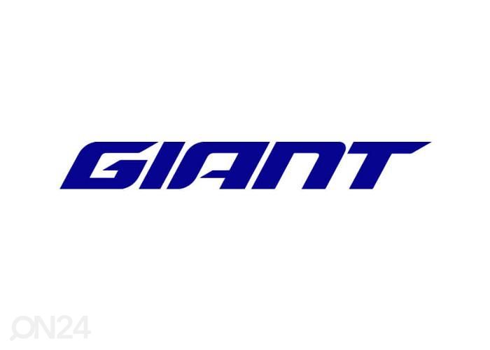 Мужской гибридный велосипед Giant Escape Disc 3 Metallic Black (2022) - M увеличить