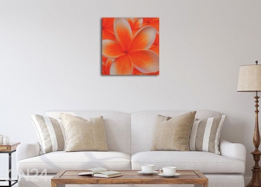 Настенная картина Frangipani flower 1 3D 30x30 см увеличить