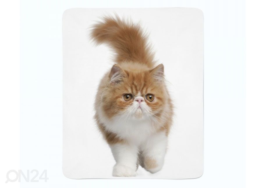 Плед Fluffy Cat 150x200 см увеличить