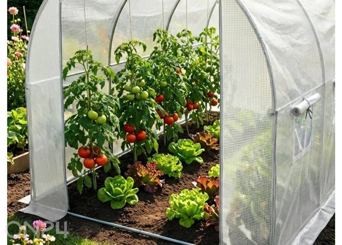 Плёночная теплица 6 м² увеличить