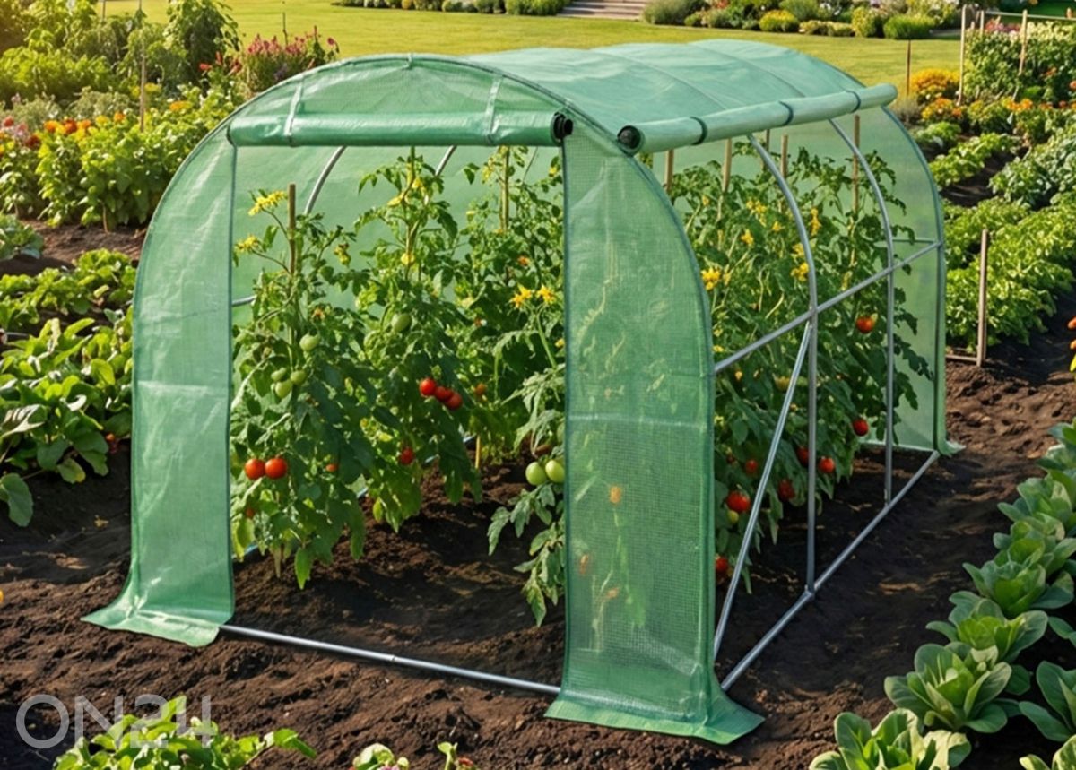 Плёночная теплица 6 м² увеличить