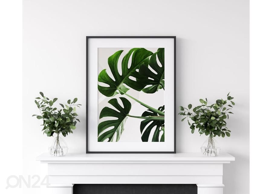 Постер Monstera 21x30 см увеличить