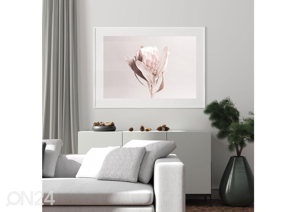 Постер Protea 21x30 см увеличить