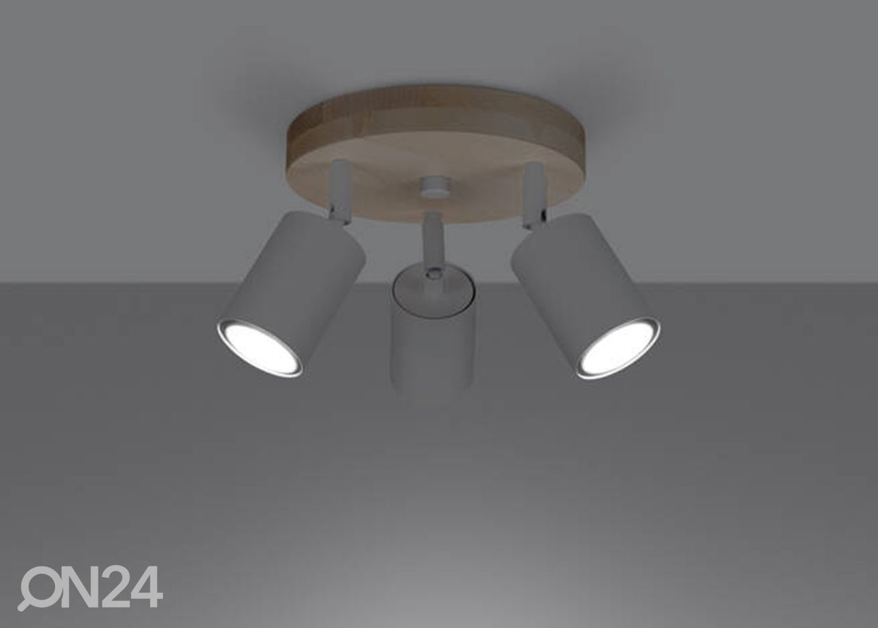 Потолочный светильник Verdo 3, белый увеличить