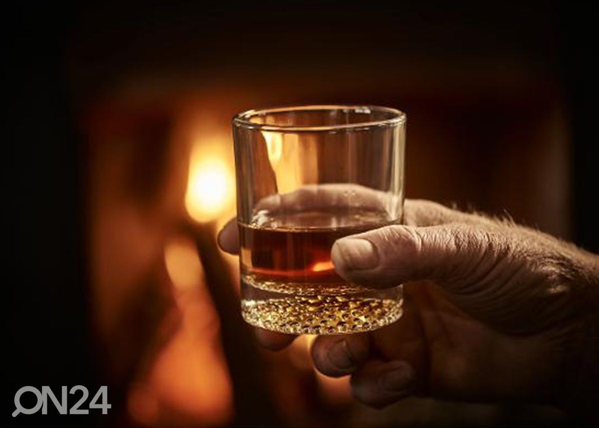 Стакан Artisan Whisky 30 кл, 4 шт увеличить