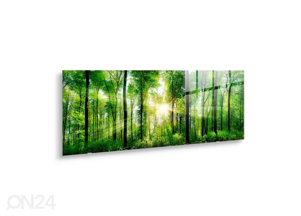 Стеклянная картина Forest 125x50 см увеличить