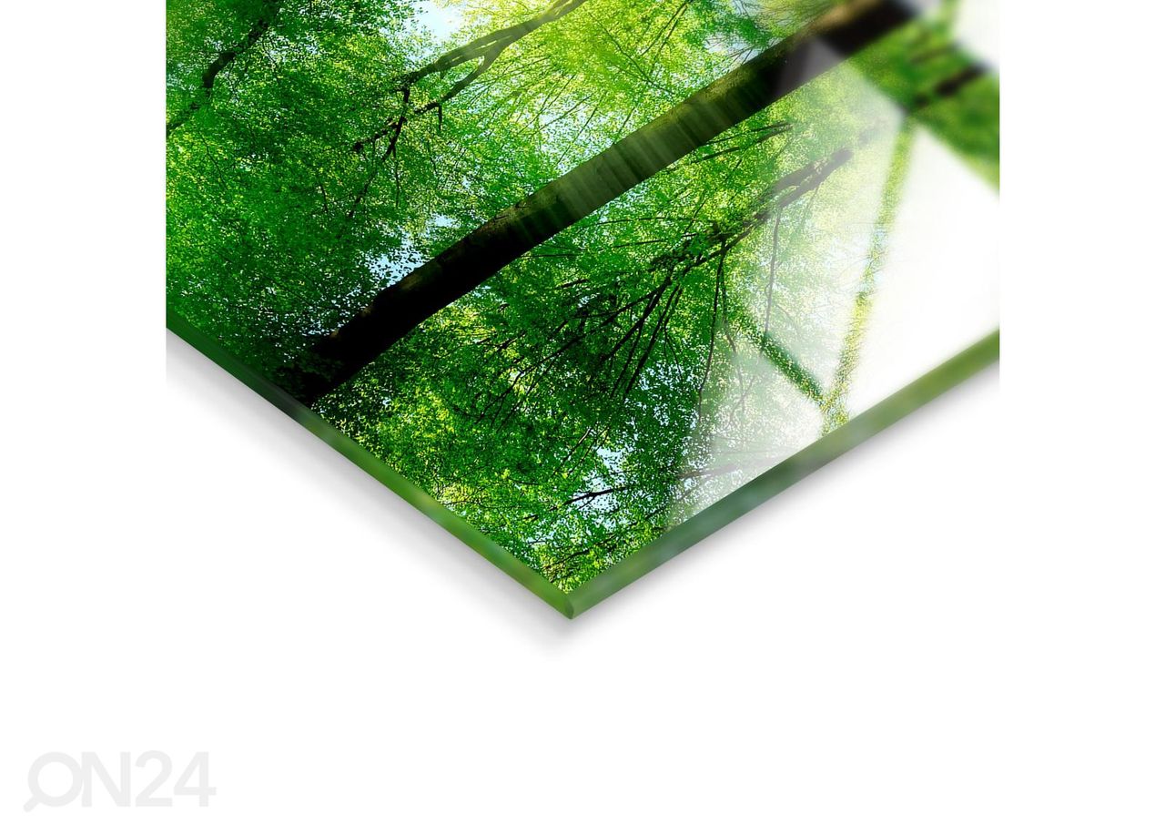 Стеклянная картина Forest 125x50 см увеличить