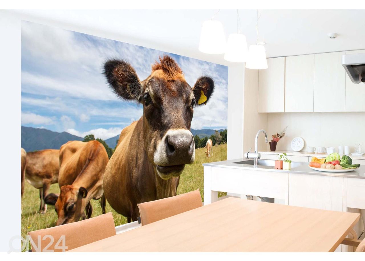 Флизелиновые фотообои Chewing Cow Looking Surprisingly Straight увеличить