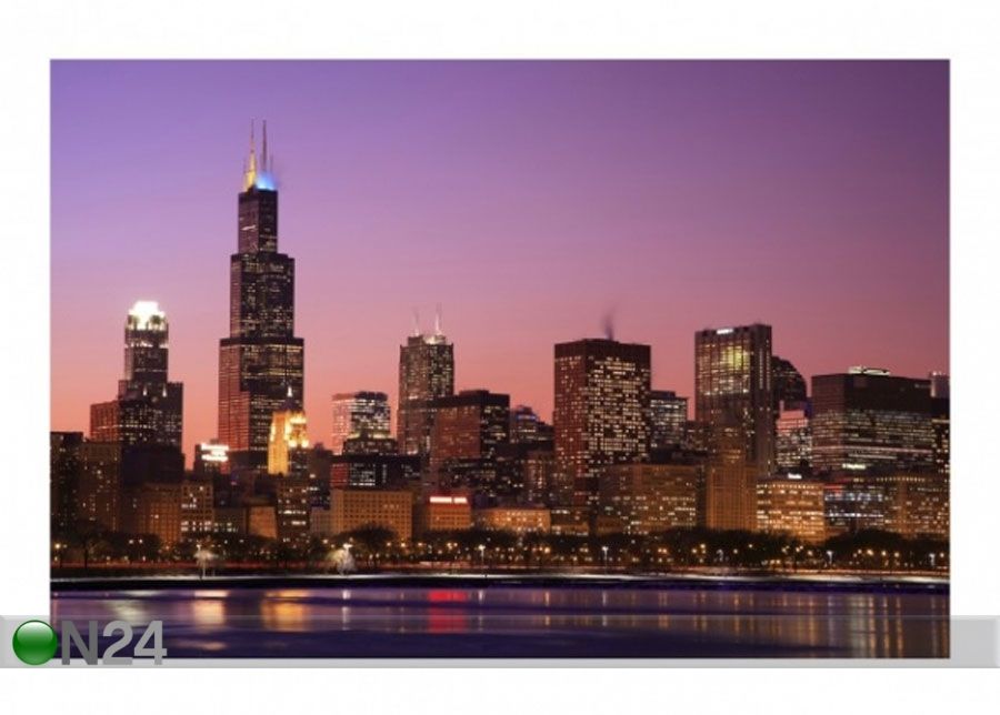 Флизелиновые фотообои Chicago Skyline увеличить