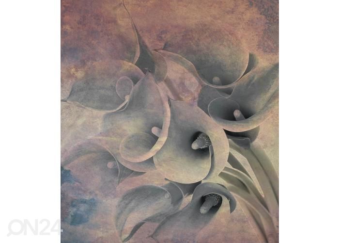 Флизелиновые фотообои Flower Abstract I 150x250 см увеличить