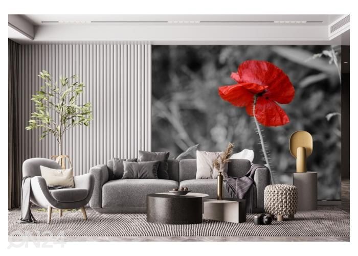 Флизелиновые фотообои Poppies 416x290 см увеличить