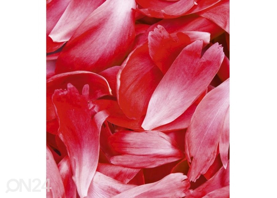 Флизелиновые фотообои Red petals 225x250 см увеличить